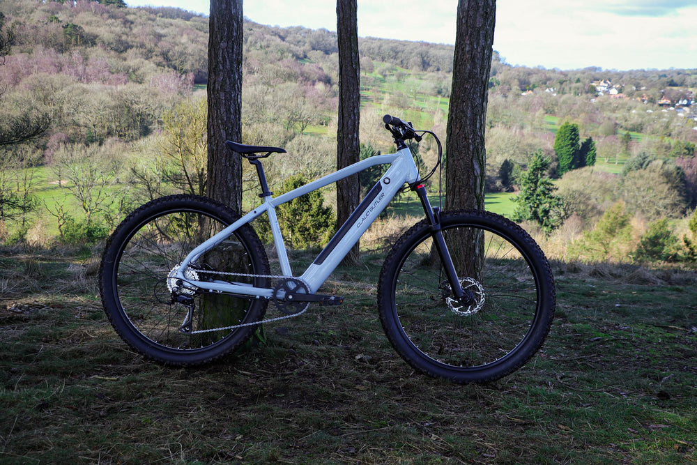 Claud Butler Ridge 1.0 Electric Mountain Bike - side profile overlooking the valley — view 25