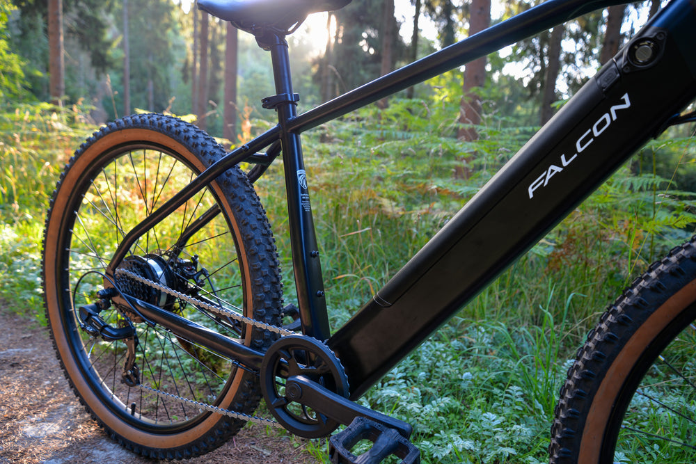 Falcon Turbine Electric Mountain Bike - rear hub motor and gears on a forest trail — view 9