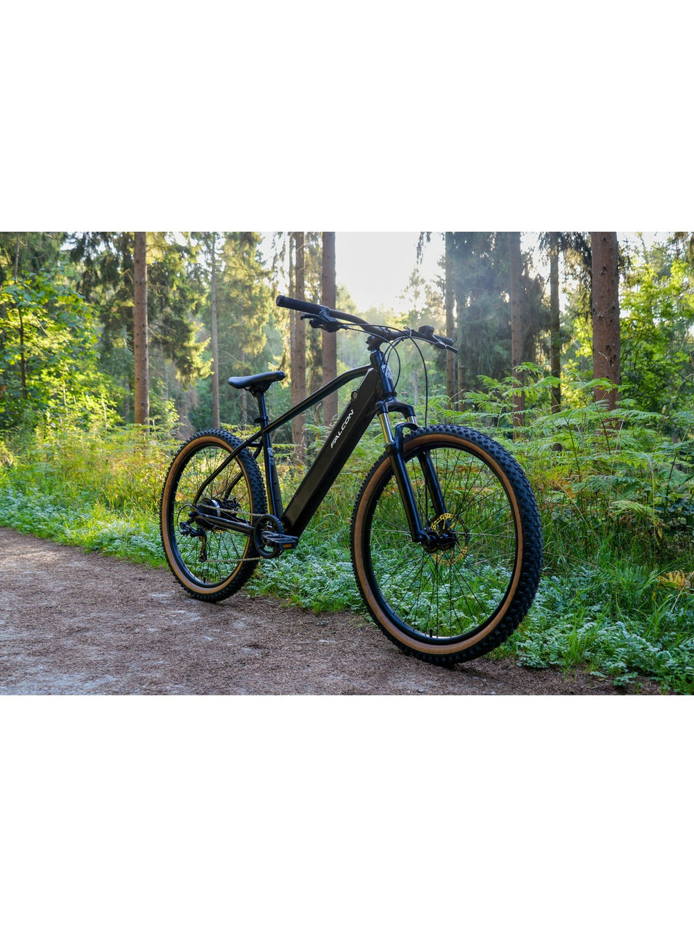Falcon Turbine Electric Mountain Bike - angle view — view 3