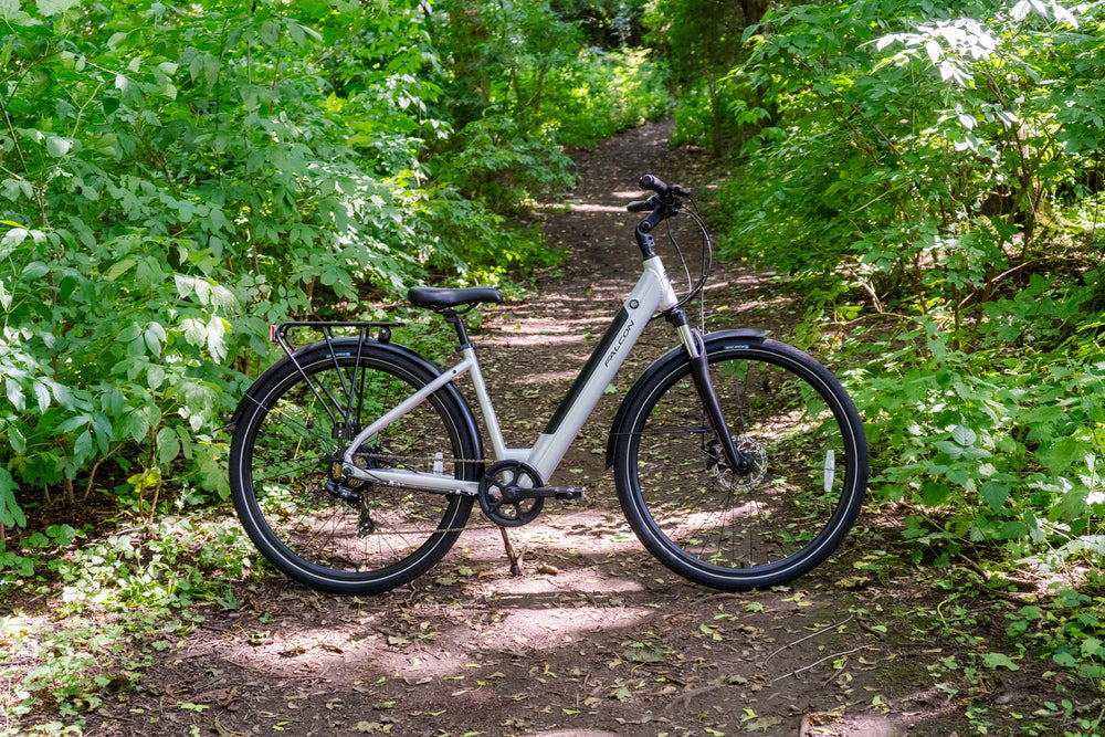 Falcon Horizon Low Step Electric Hybrid Bike, Silver, view 10 — view 10