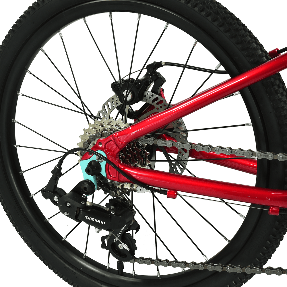 Hoy Pentland 20" Kids Bike, Sprint Red, view 4 — view 4
