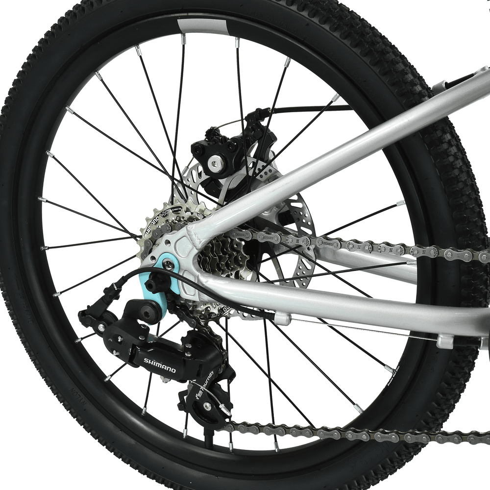 Hoy Pentland 20" Kids Bike, Titanium Silver, view 5 — view 5