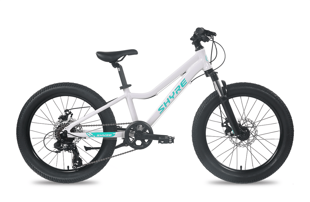 Shyre Eastie 20" Wheel Kids Mountain Bike, view 10 — view 10