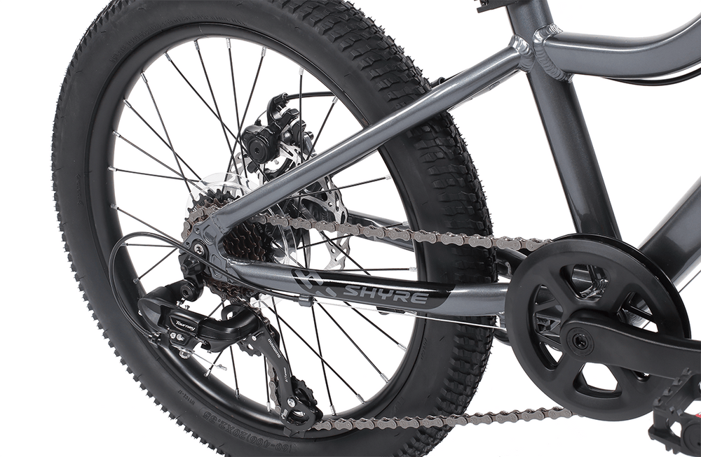 Shyre Eastie 20" Wheel Kids Mountain Bike, view 7 — view 7