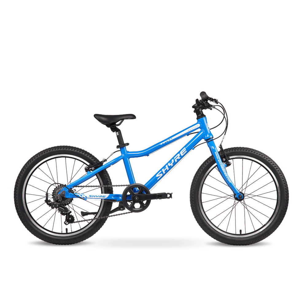 Shyre Hopton 20" Wheel Hybrid Kids Bike — view 11