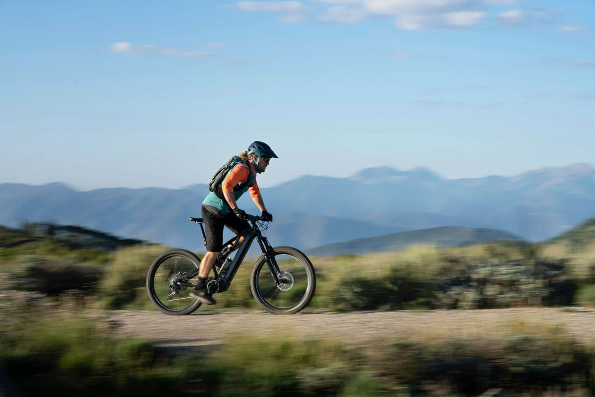 Boss Bikes: Which One Should You Buy? Stealth, Venom, Vortex & Black Ice Compared
