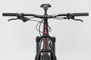 NS Bikes Eccentric Cromo 29, view 4 — view 4