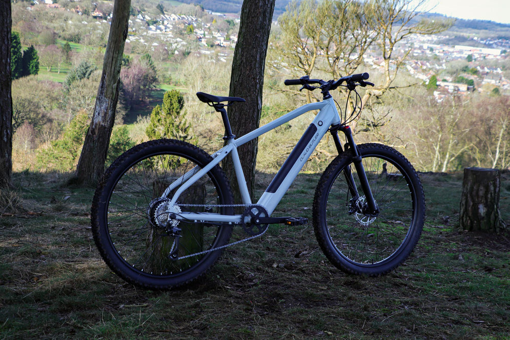 Claud Butler Ridge 1.0 Electric Mountain Bike - on a hilltop above the town — view 26