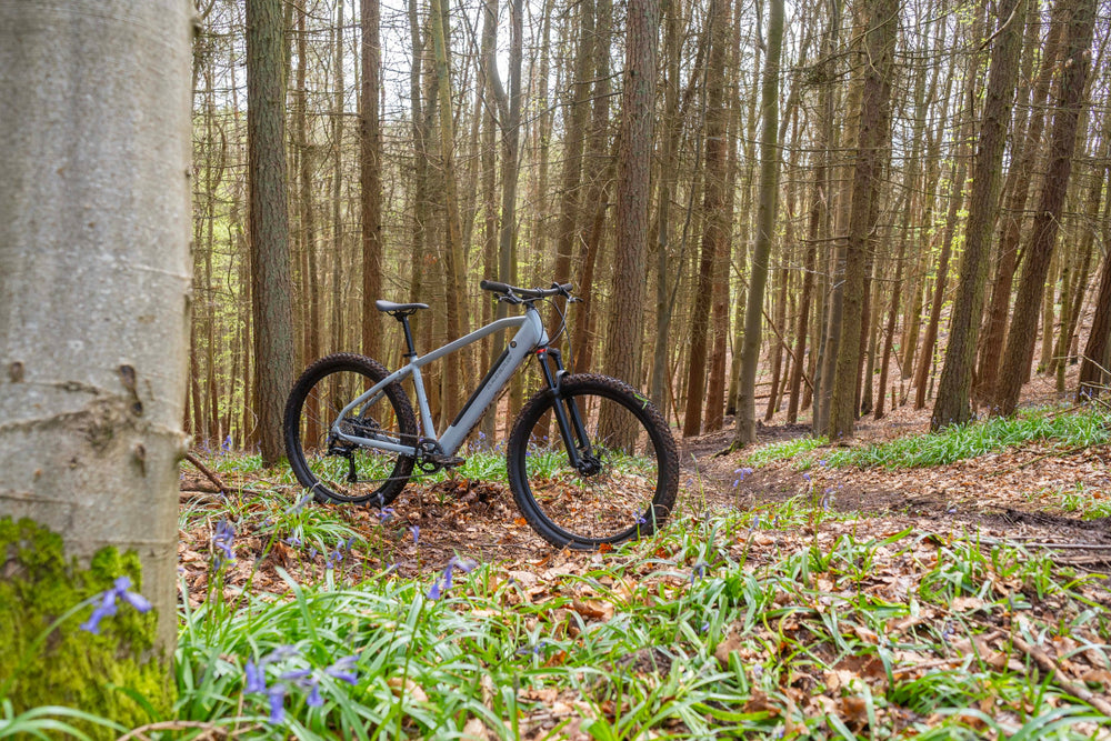 Claud Butler Ridge 1.0 Electric Mountain Bike - in a bluebell wood — view 34
