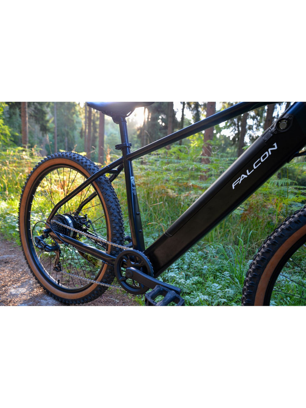 Falcon Turbine Electric Mountain Bike - detail view — view 4