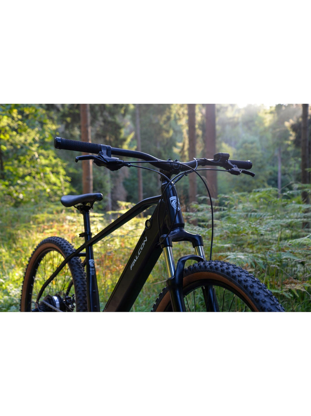 Falcon Turbine Electric Mountain Bike - detail view — view 5