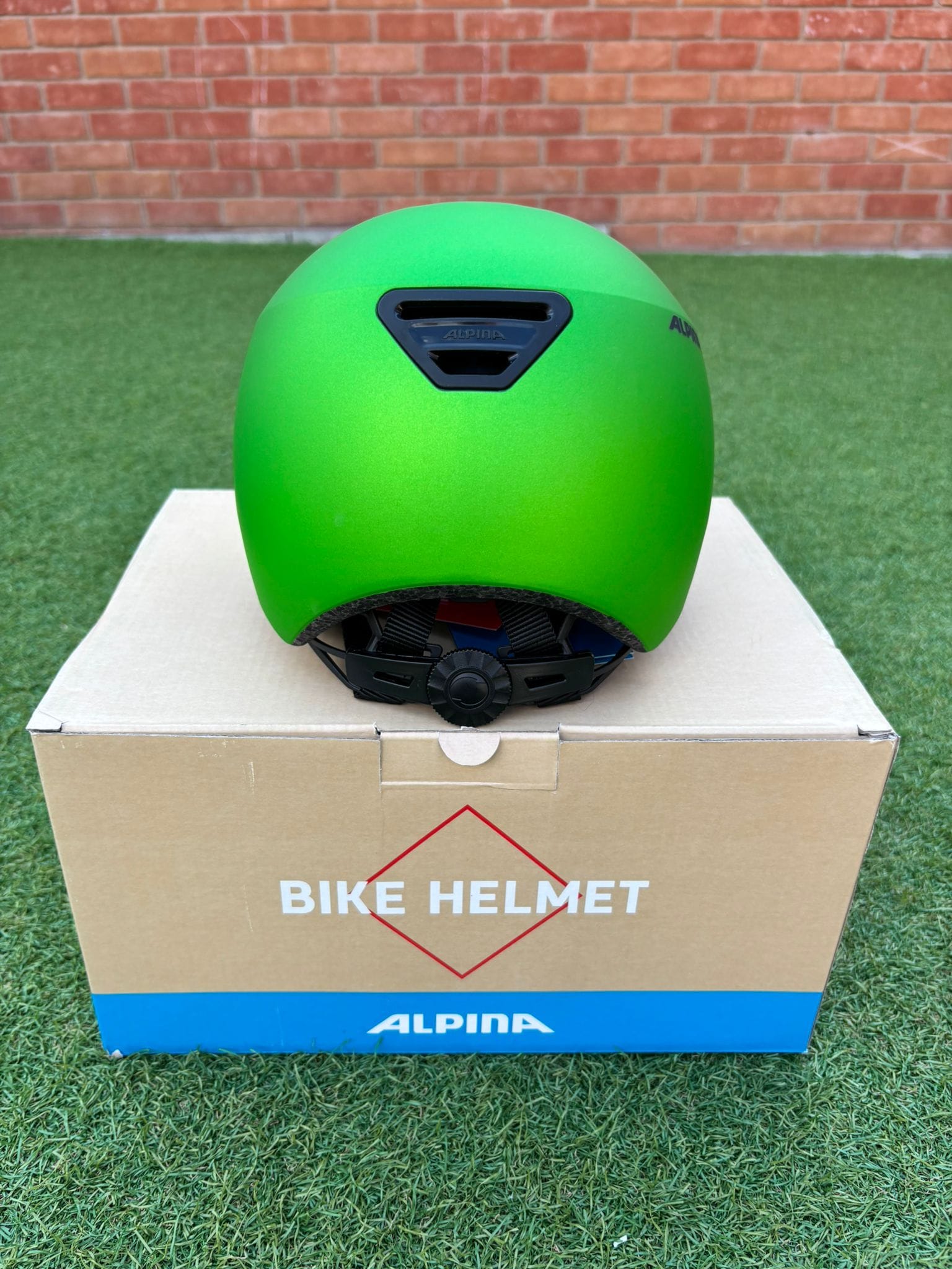 Alpina Helmet Alpina Hackney Junior Helmet Green Frog 47 - 51cm