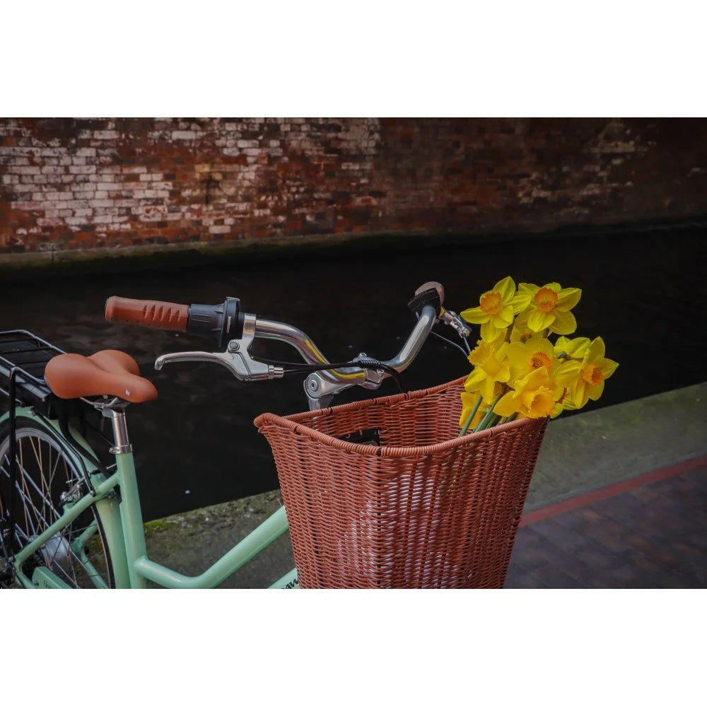 Dawes Elegance Low Step Electric Hybrid Bike