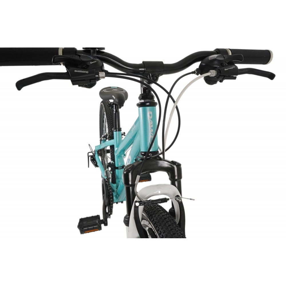 Dawes 24" Paris HT Kids Mountain Bike, Mint, view 4 — view 4
