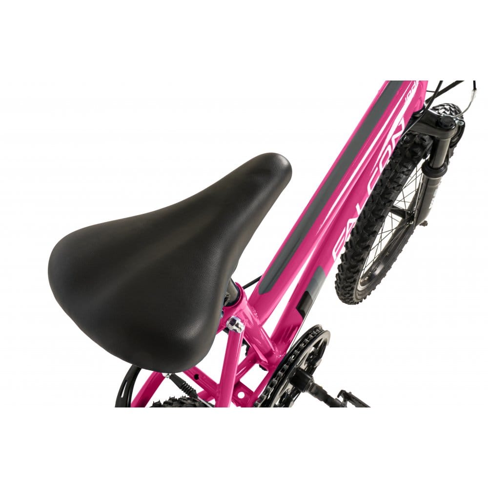 Falcon Kids Bikes Falcon Jade 20" (Pink) Mountain Bike