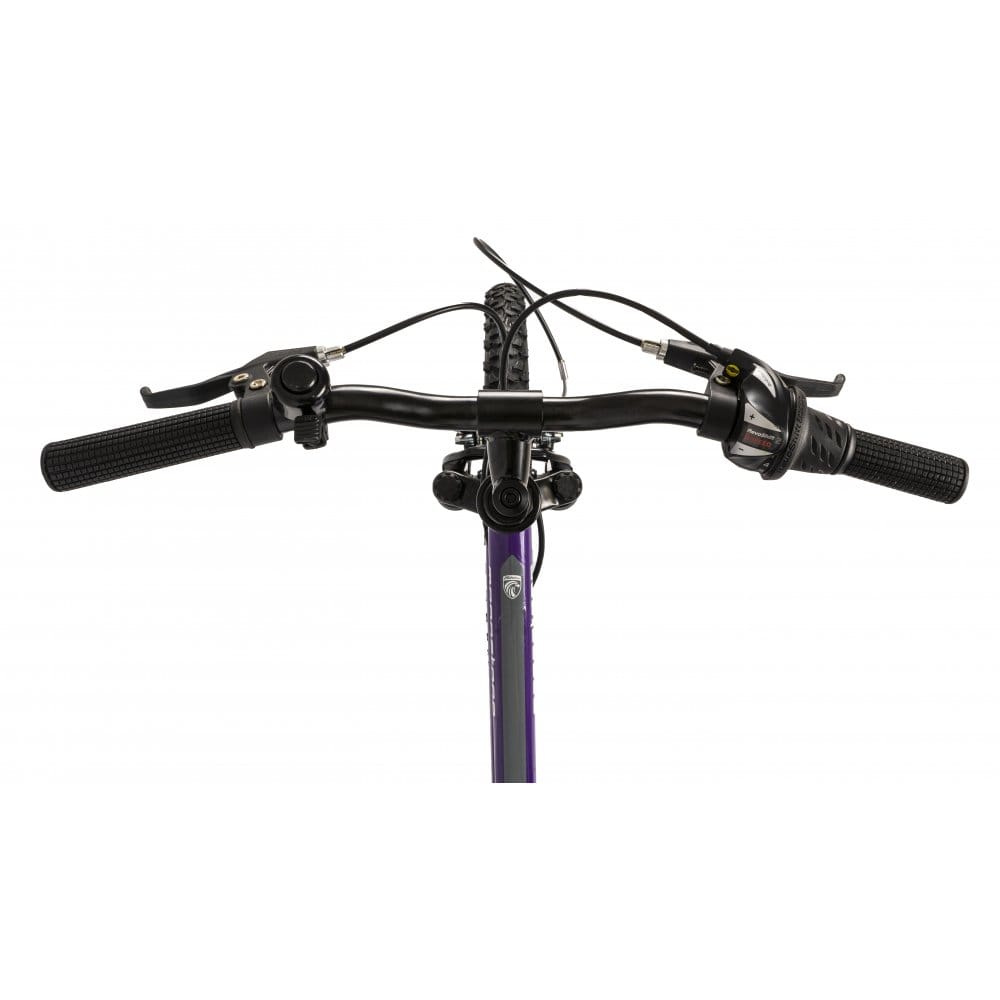 Falcon Kids Bikes Falcon Moonstone 20" Mountain Bike