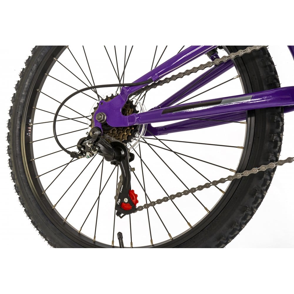Falcon Kids Bikes Falcon Siren 24" Mountain Bike