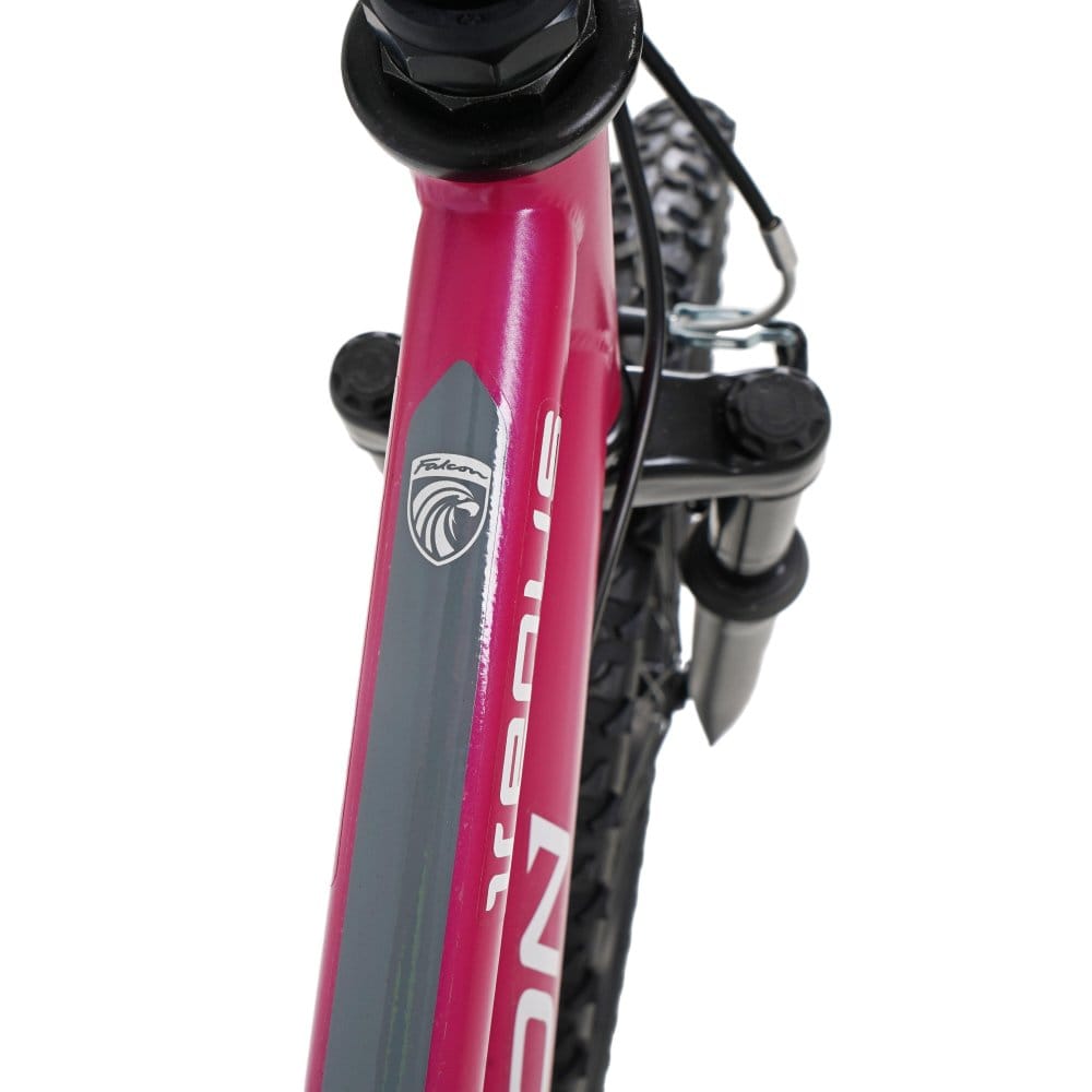 Falcon Kids Bikes Falcon Venus 24" (Pink) Mountain Bike
