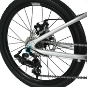 Hoy Pentland 20" Kids Bike, Titanium Silver, view 5 — view 5