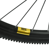 Hoy Kids Mountain Bikes Hoy Pentland 24" Kids Bike - Stealth Black