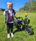 Littletrax Kids Electric Bikes E-Bike Award winning 350w 36v Kids Electric Bike – Ages 3 to 12+ ride on dirt bike