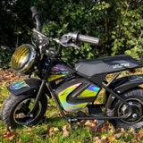 Littletrax Kids Electric Bikes E-Bike Best Selling 350w 36v Kids Electric Bike – Ages 3 to 12+ ride on dirt bike
