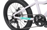 Shyre Bikes Bicycle Shyre Eastie 20" Wheel Kids Mountain Bike