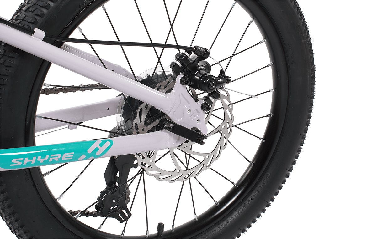Shyre Bikes Bicycle Shyre Eastie 20" Wheel Kids Mountain Bike