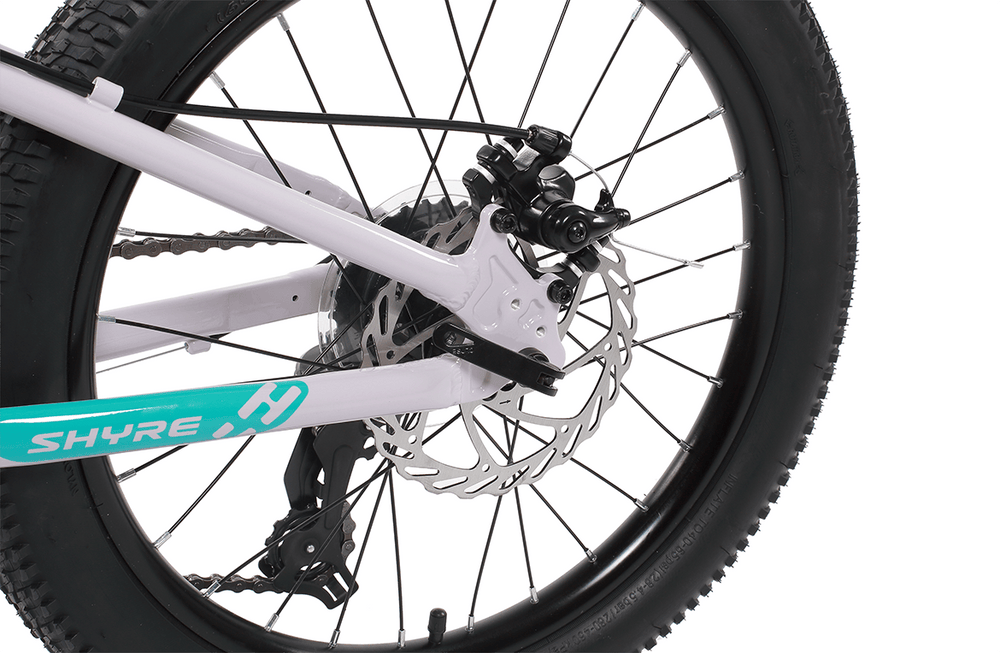 Shyre Eastie 20" Wheel Kids Mountain Bike, view 14 — view 14
