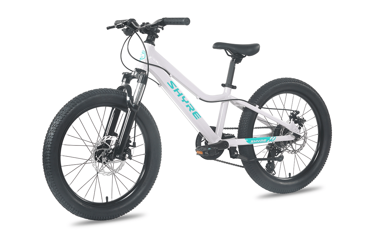 Shyre Bikes Bicycle Shyre Eastie 20" Wheel Kids Mountain Bike