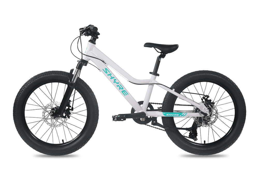 Shyre Eastie 20" Wheel Kids Mountain Bike, view 11 — view 11