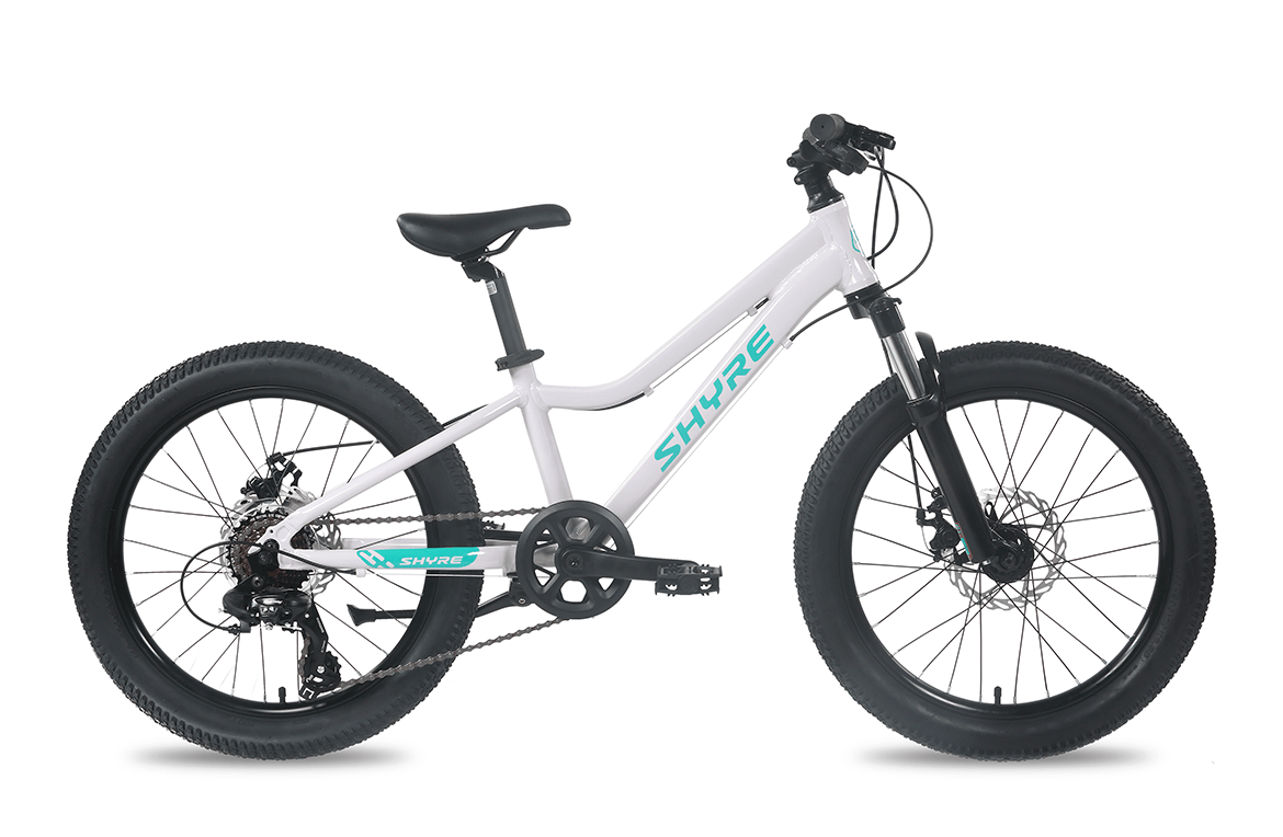 Shyre Bikes Bicycle Shyre Eastie 20" Wheel Kids Mountain Bike