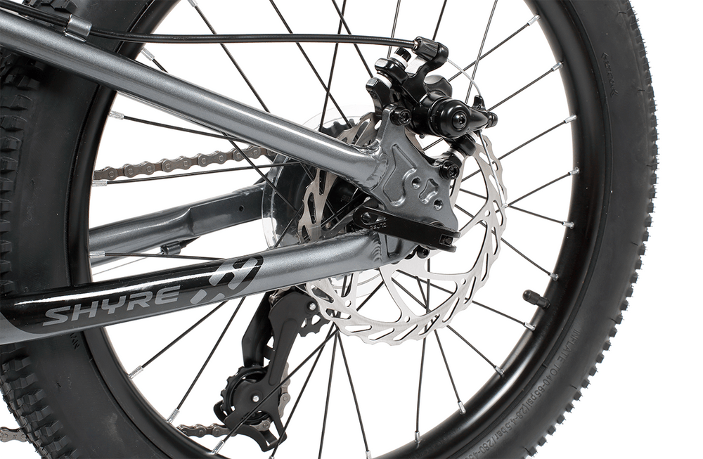 Shyre Eastie 20" Wheel Kids Mountain Bike, view 6 — view 6