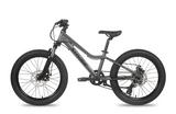 Shyre Bikes Bicycle Shyre Eastie 20" Wheel Kids Mountain Bike