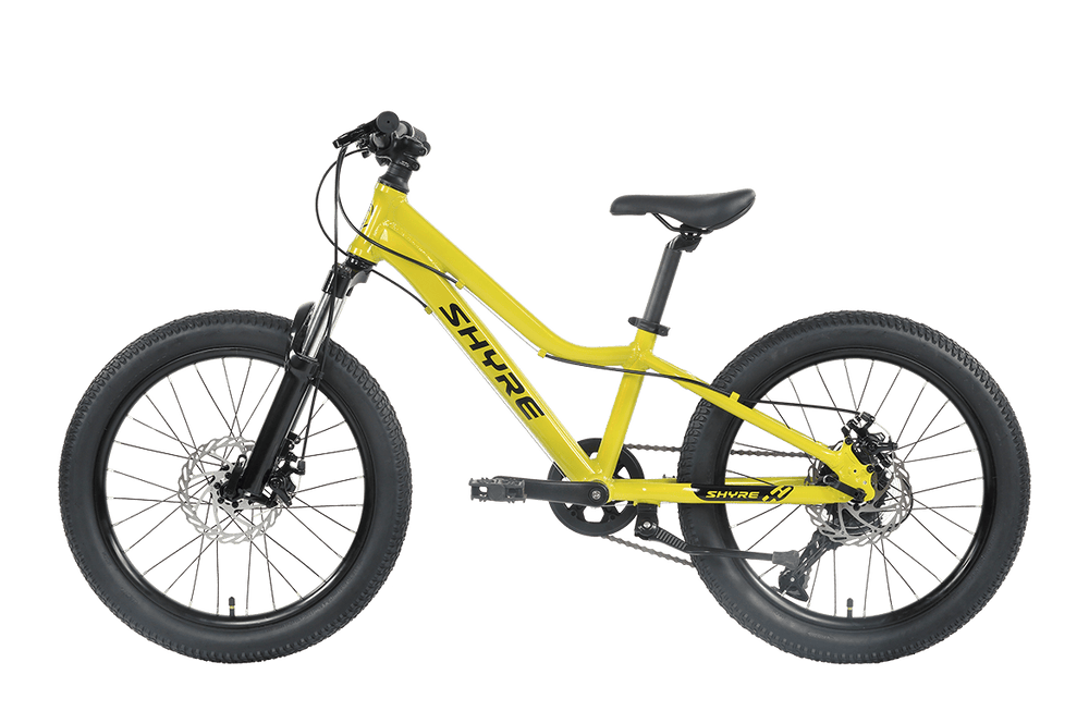 Shyre Eastie 20" Wheel Kids Mountain Bike — view 19