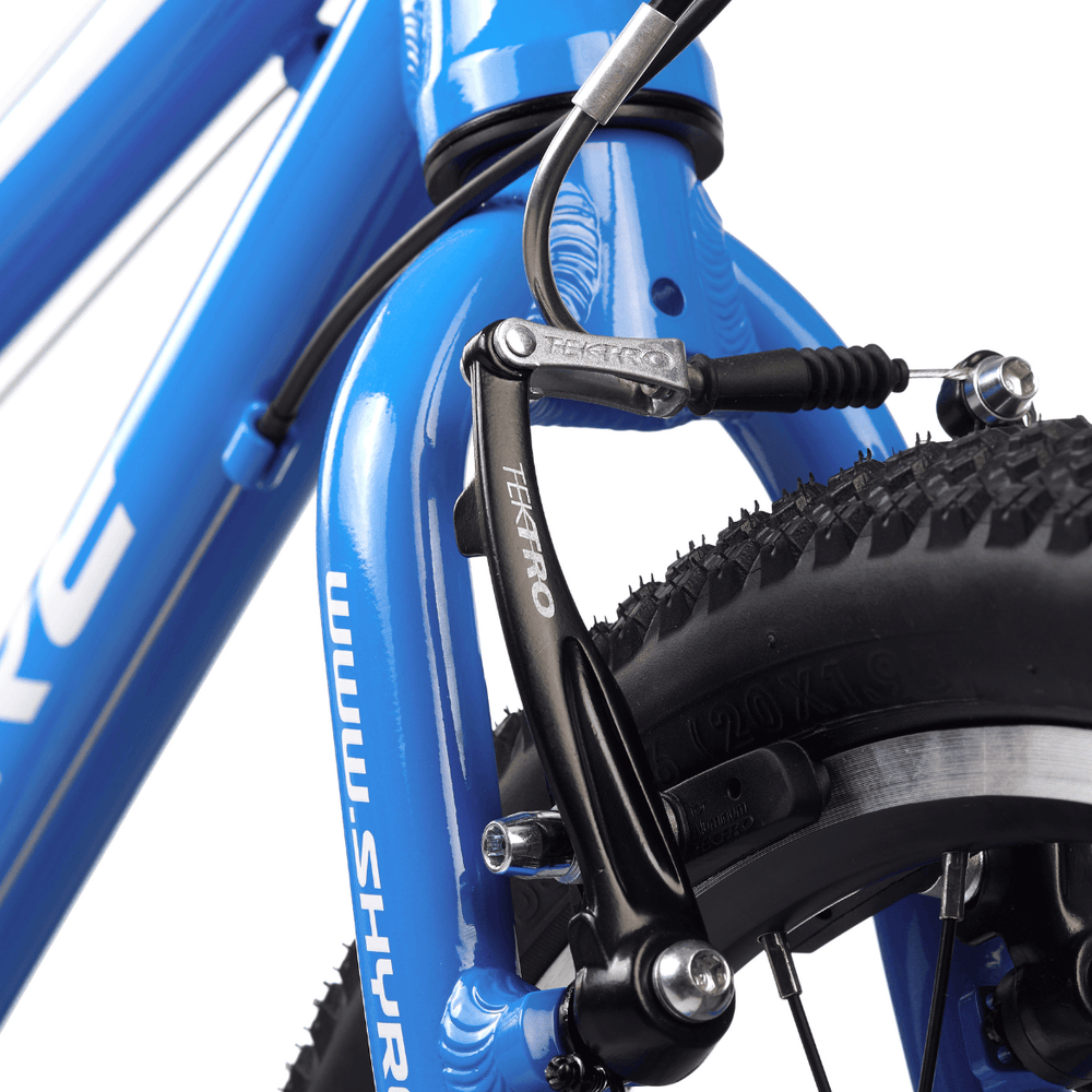 Shyre Hopton 20" Wheel Hybrid Kids Bike — view 14