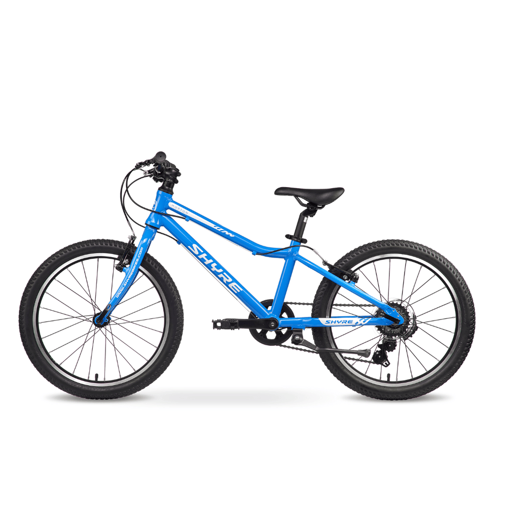 Shyre Hopton 20" Wheel Hybrid Kids Bike — view 10