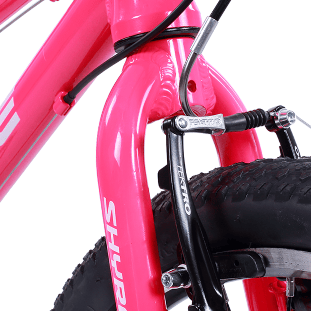 Shyre Hopton 20" Wheel Hybrid Kids Bike — view 8