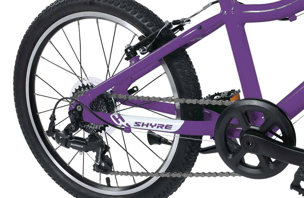 Shyre Hopton 20" Wheel Hybrid Kids Bike — view 21