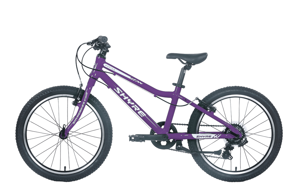 Shyre Hopton 20" Wheel Hybrid Kids Bike — view 15